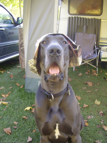 Malermeister Bund Malermeister Bund